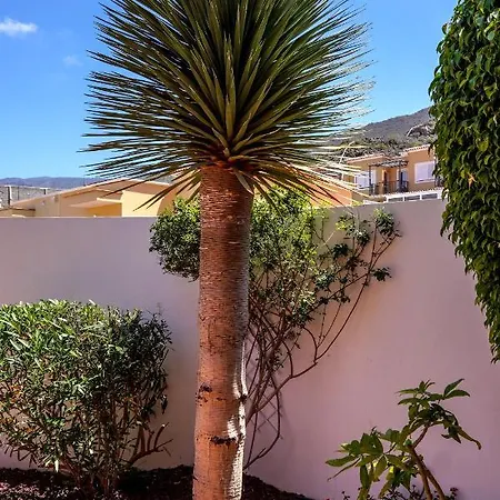 Villa Paloma Roque Del Conde *